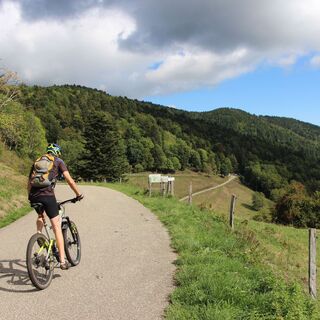 Col Amic - Col Attitude