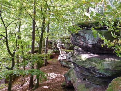 Die Jägersteine im Reinhäuser Wald