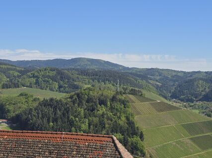 Foto von Michel Kennel entlang der Tour