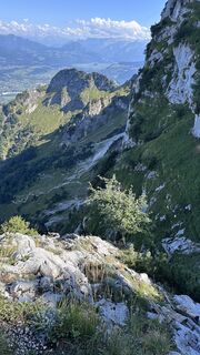 Foto de Mountain Cat ? ⛰️ a lo largo del recorrido