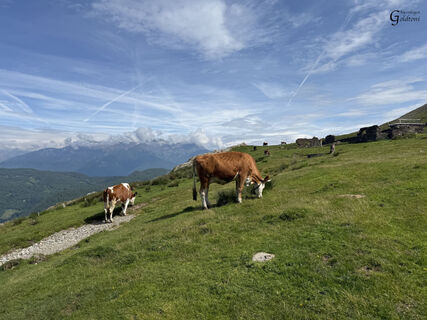 Alpenbogen A137 Rivera-Rifugio Sommafiume