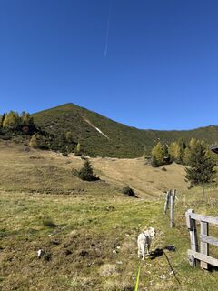 Photo de Nina Wolf le long du parcours