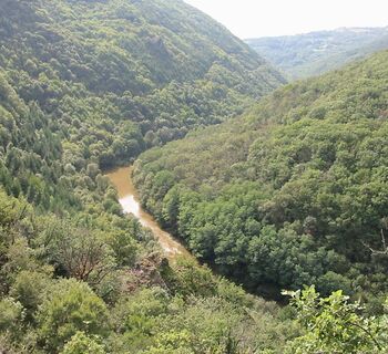 Naturschutzgebiet „Les Infournats“