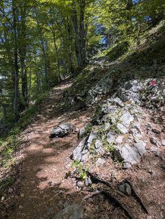 St. Wolfgang auf Schafkopf