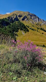 Foto de Fabrizi Mellano a lo largo del recorrido