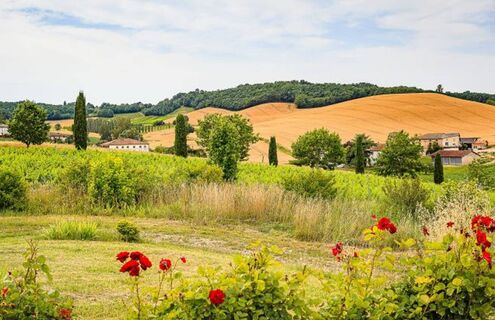 Landschaft