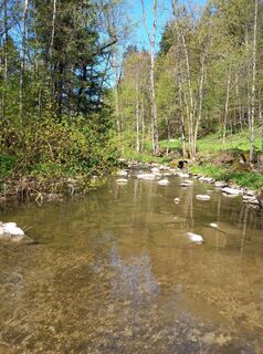 Foto de Elfriede Thanecker a lo largo del recorrido