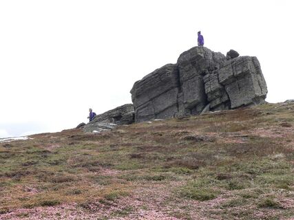 Wanderung über die Handalm  zum Wildbachsattel