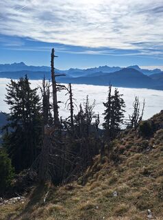 Fotografija s spletne strani Dagmar Hofer na poti