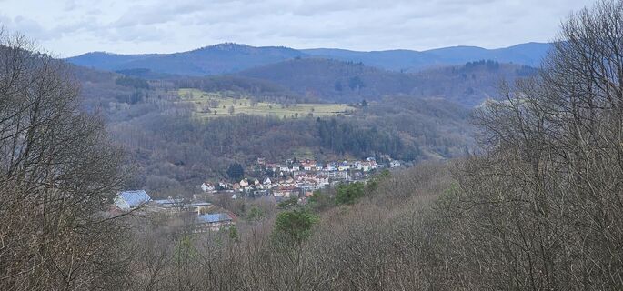 Foto de Wolfgang Riemer a lo largo del recorrido