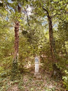 Fotografia z Friedrich Schlager na trase