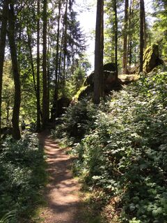 Zum Höllbachfall im Hotzenwald