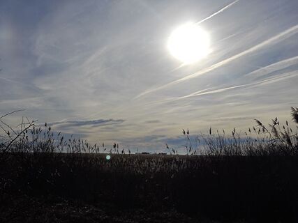 Fotografija s spletne strani Sabine na poti