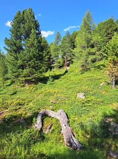 Photo de Christian Lerchster le long du parcours