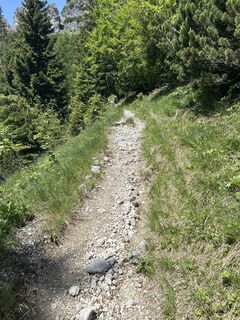 Foto von Roland Brunsteiner entlang der Tour