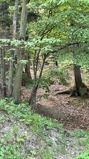 Fotografia z Gyula Gerecs na trase