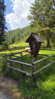 Fotografia z Uwe Schumann 2 na trase