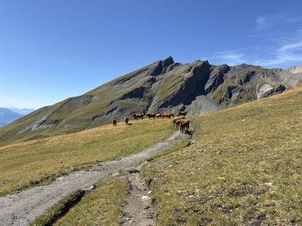 Foto de Gilles Collard 1 a lo largo del recorrido