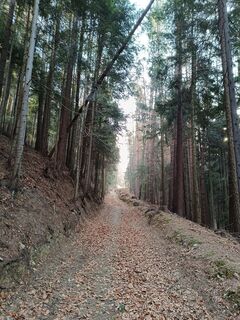 Foto von Gabi H. 1 entlang der Tour