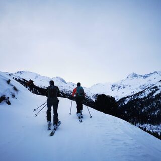 Am Forstweg zum Niederleger