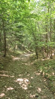 Foto von Claudia Maurer entlang der Tour