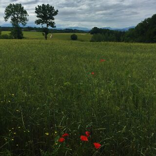 Blick auf die Felder