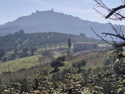 Fotografija s spletne strani Thomi W na poti