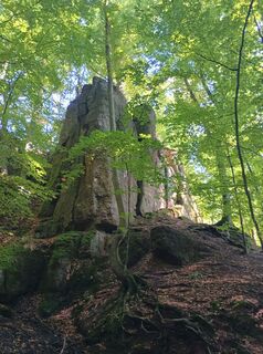 Foto von Andreas Beuster Huke entlang der Tour