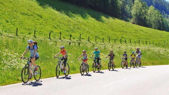 Auf dem Veitschtal-Radweg