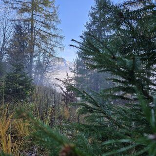 Photo from Alfred Quack along the tour