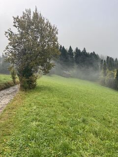 Fotografia z Józef Kulpa na trase