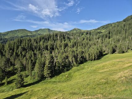 Zdjęcie z Thomi W wzdłuż trasy