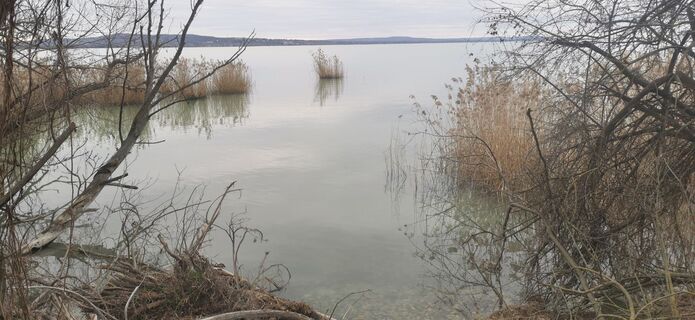Foto de Gerencsér Ákos a lo largo del recorrido