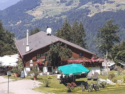 Photo de Josef Six le long du parcours