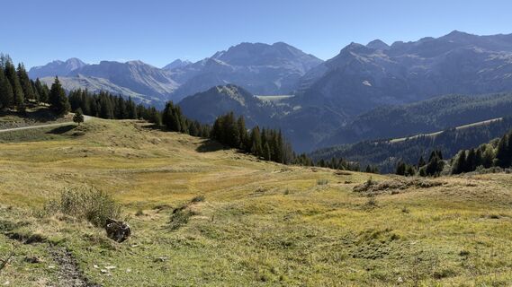 Photo de Peter Burki le long du parcours