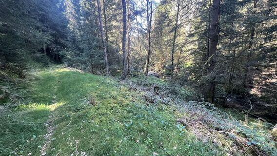 Foto da Radovan Culic lungo il tour