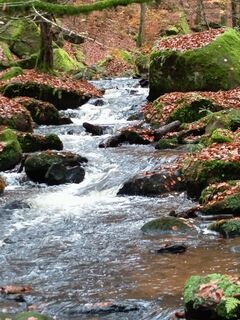 Fotografie z SvenScherer7 na trase