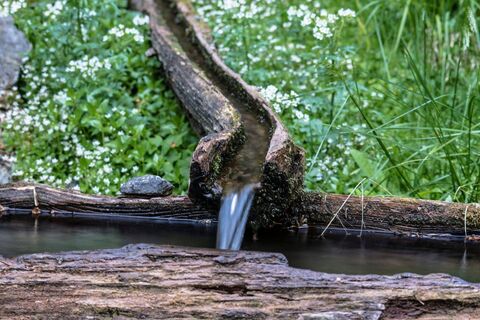 Brunnen auf dem Weg # 773 vom Latterfußsattel ins Tal