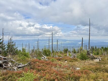 Photo de Dani Geiger / Natur_erleben_dg le long du parcours