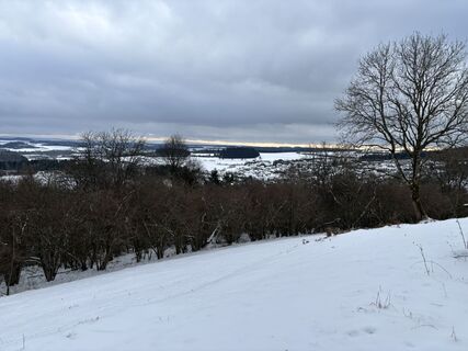 Foto von Katrin Oldenburg entlang der Tour