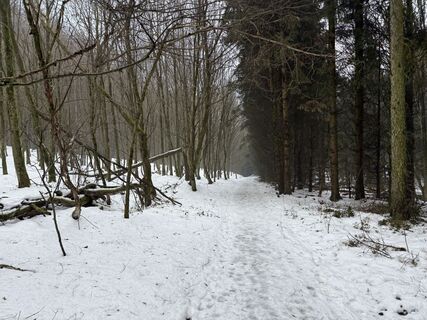 Fotografija s spletne strani Wilson Holz na poti
