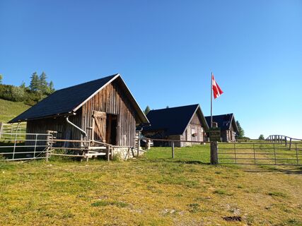 Graualm
