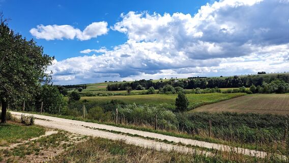 Foto de Gisela Gnann-Maier a lo largo del recorrido