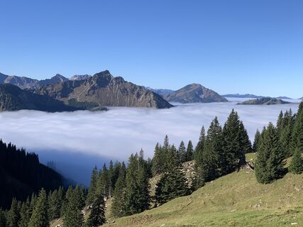 Photo de DirK FraNz le long du parcours