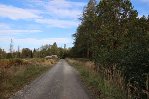 Vorbei an der Verjüngungsfläche