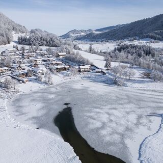 Eibele im Winter