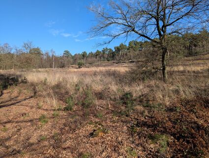 Photo de Matje Derks le long du parcours