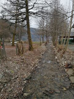 Fotografija s spletne strani Dagmar Hofer na poti