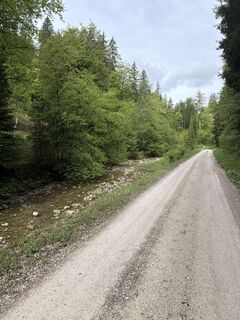 Foto von Tom Rousavy entlang der Tour