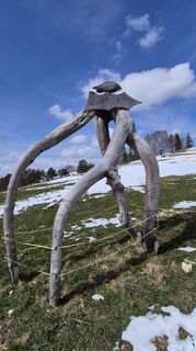 Photo de Thomi W le long du parcours